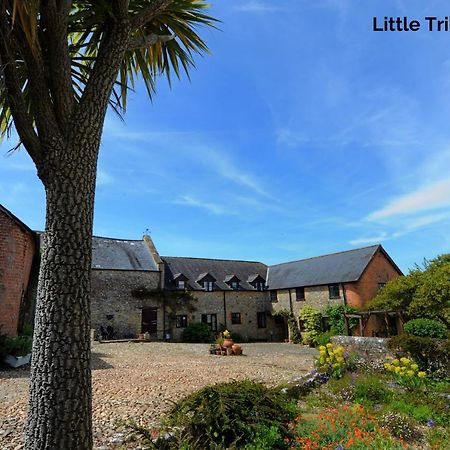 Trill Cottage Musbury Exteriér fotografie