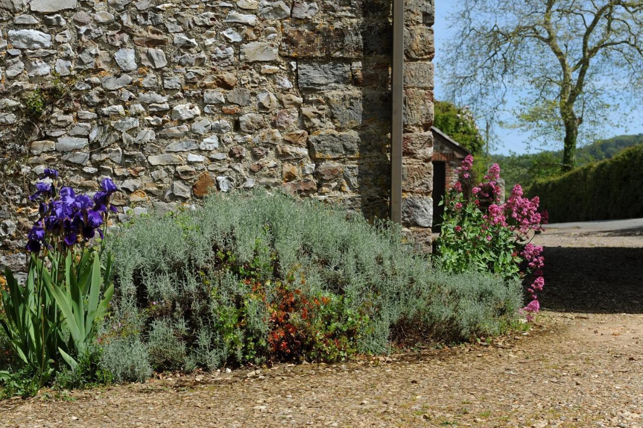 Trill Cottage Musbury Exteriér fotografie