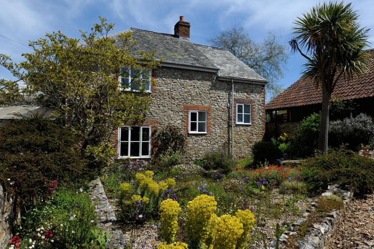 Trill Cottage Musbury Exteriér fotografie